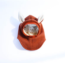Load image into Gallery viewer, Gefütterte Wollmütze | La Dresseria